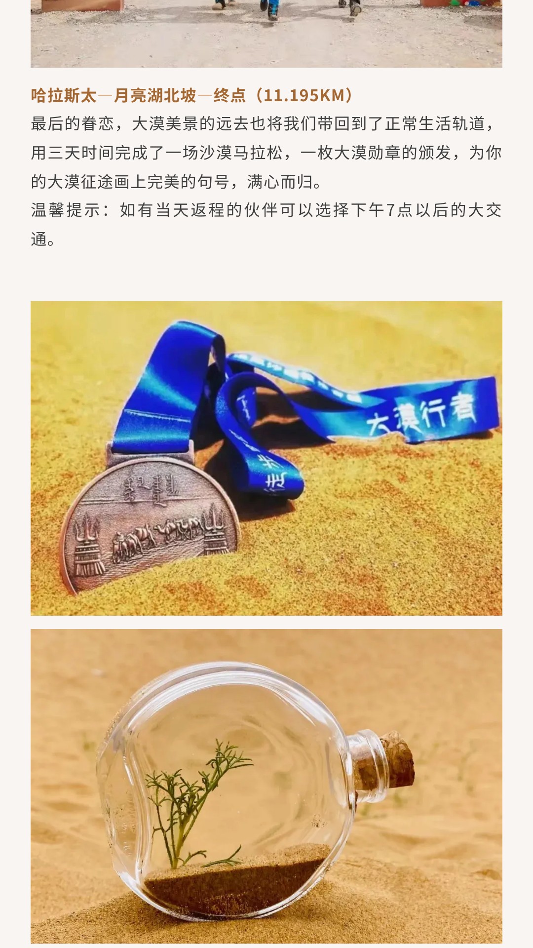 show_600435044_1741525375351_slice_28 show_600435044_1741525375351_slice_28