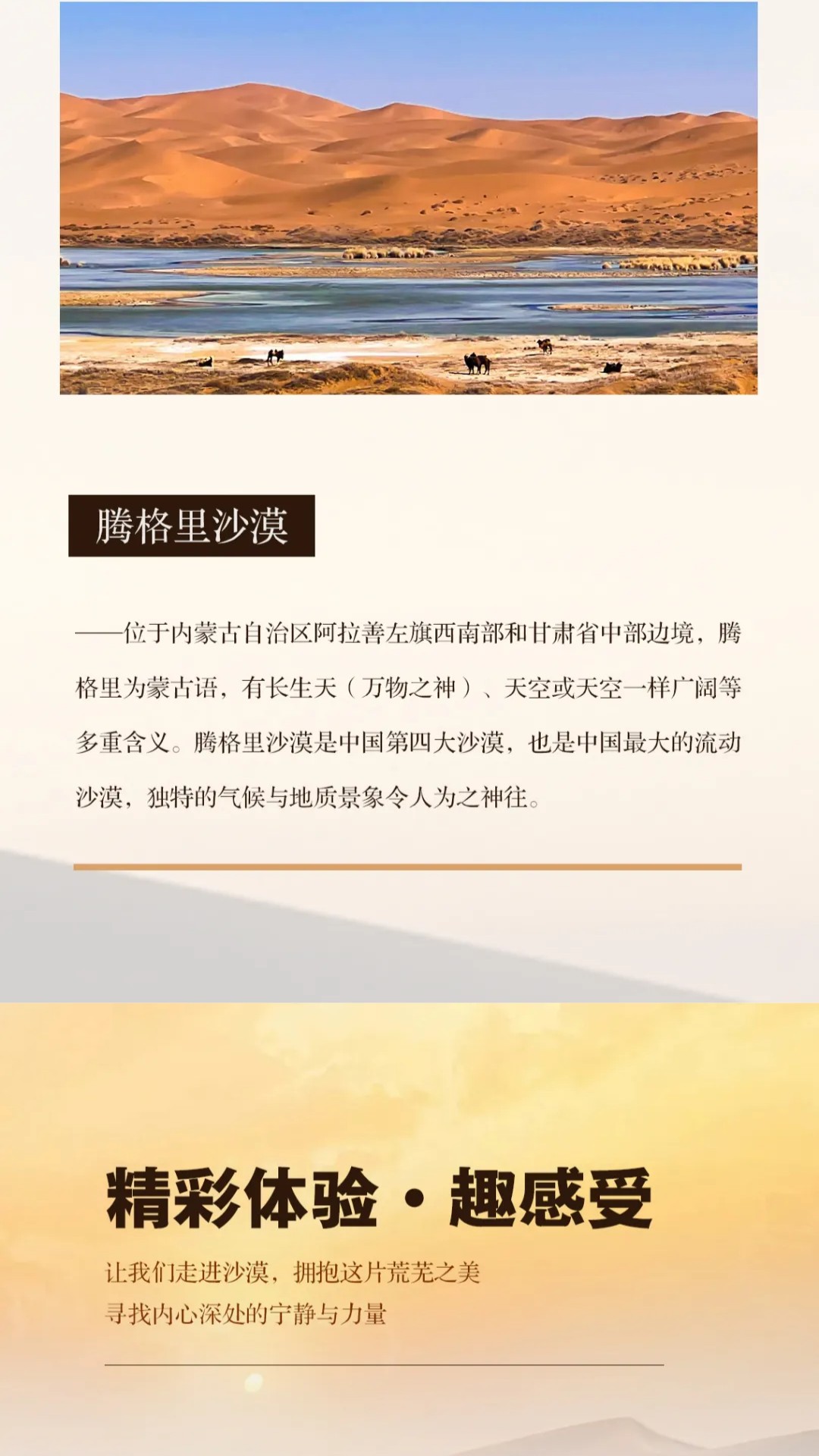 show_600435044_1741525375351_slice_8 show_600435044_1741525375351_slice_8