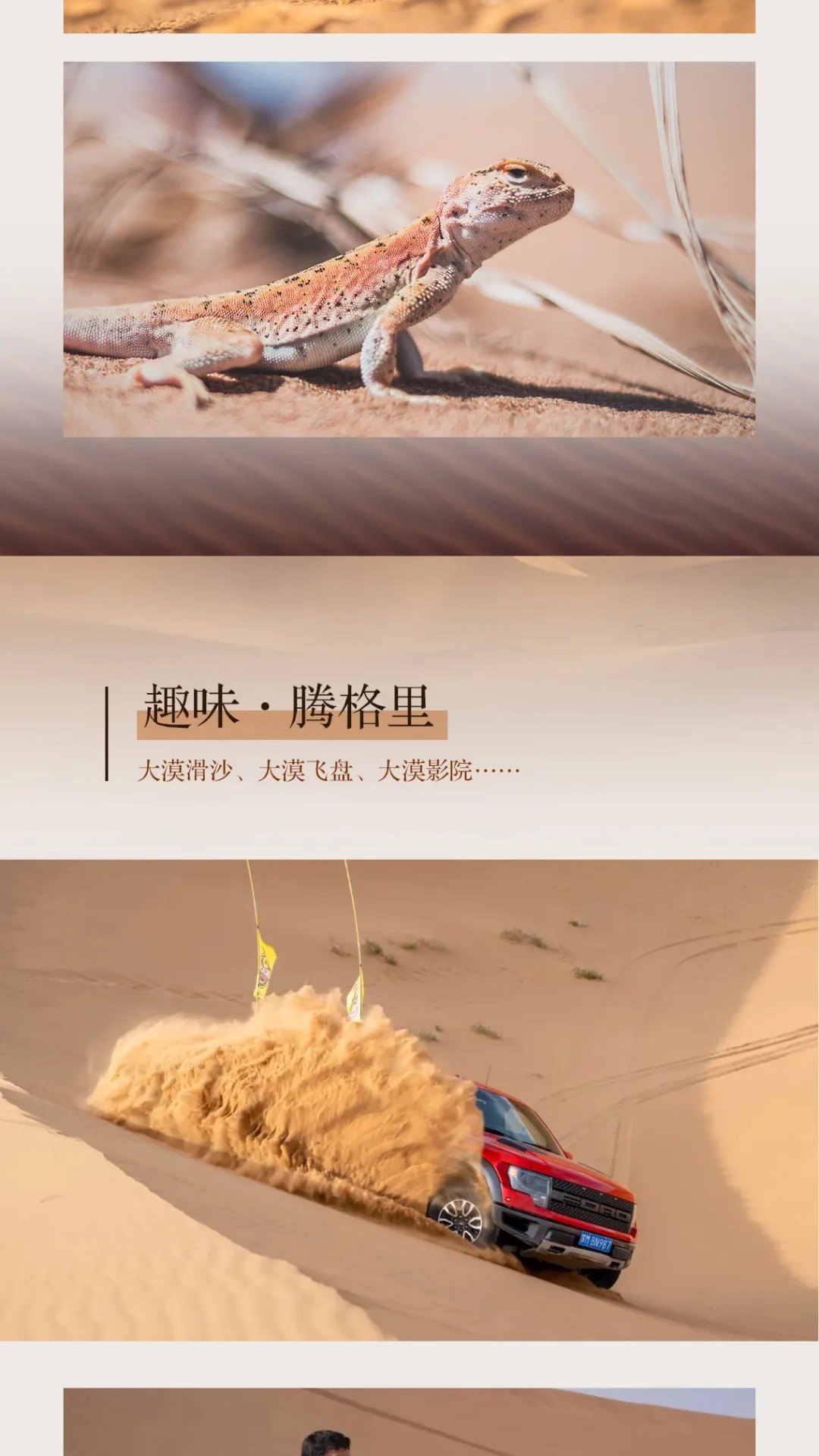 show_600435044_1741525375351_slice_11 show_600435044_1741525375351_slice_11