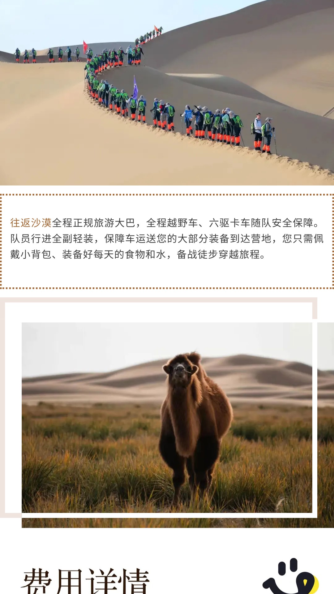 show_600435044_1741525375351_slice_33 show_600435044_1741525375351_slice_33