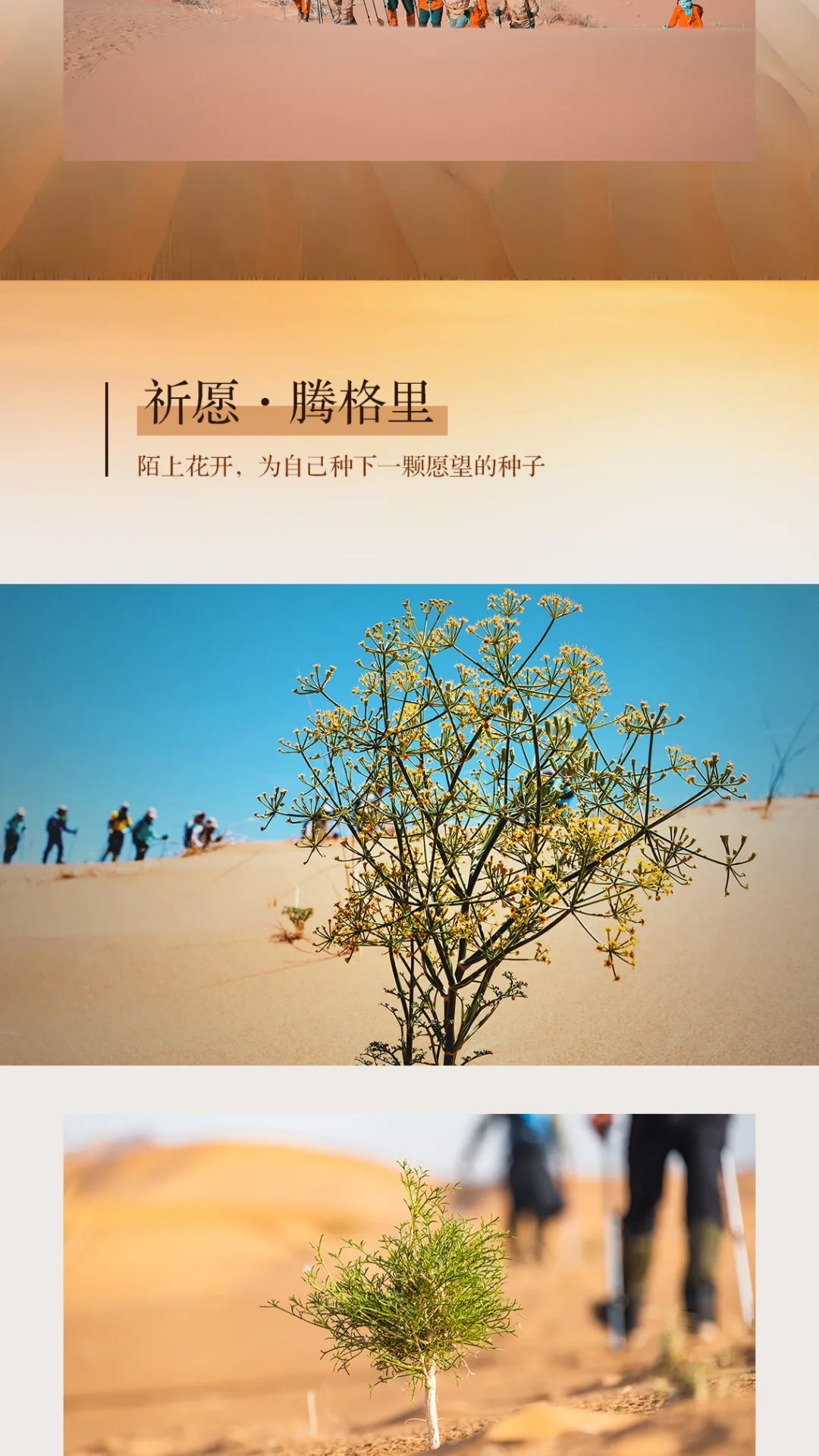 show_600435044_1741525375351_slice_10 show_600435044_1741525375351_slice_10