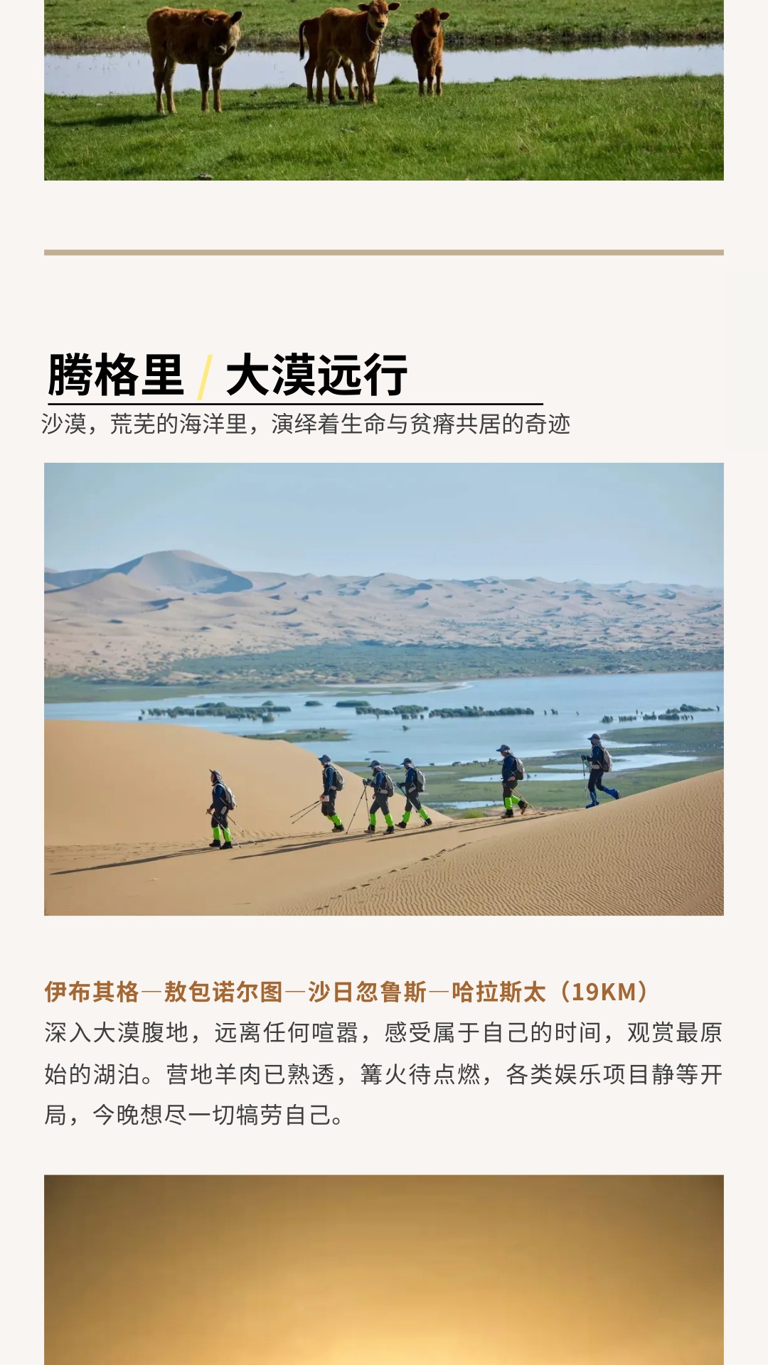 show_600435044_1741525375351_slice_26 show_600435044_1741525375351_slice_26